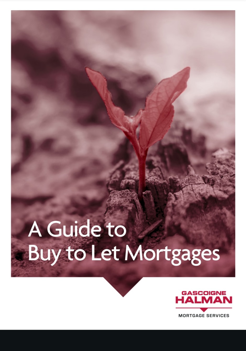 Buy to let Guide