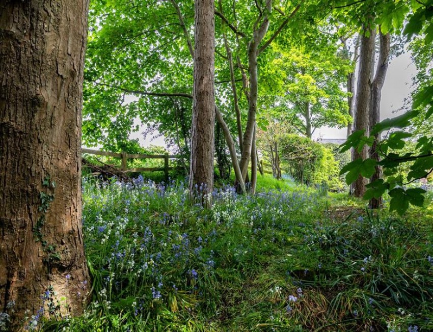 Images for Waste Lane, Kelsall, Tarporley