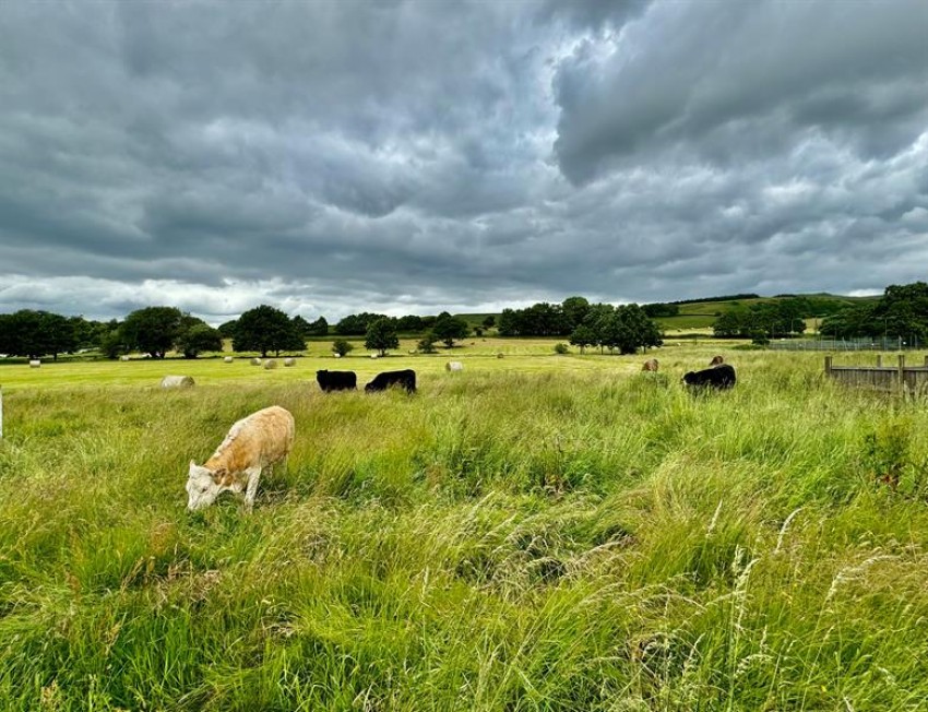 Images for Sunningdale Drive, Glossop