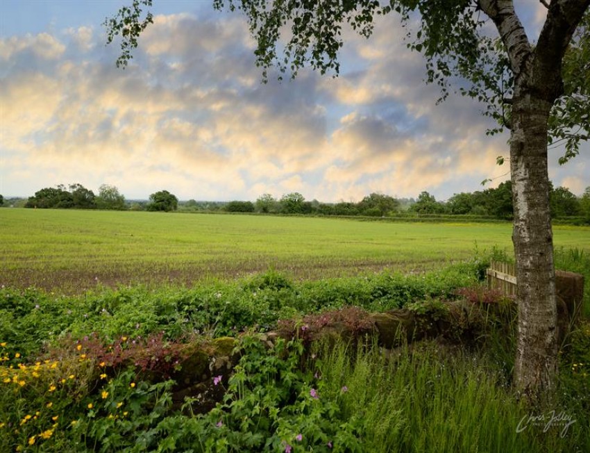 Images for Ridley Hill Farm, Ridley