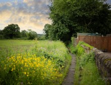 Images for Ridley Hill Farm, Ridley