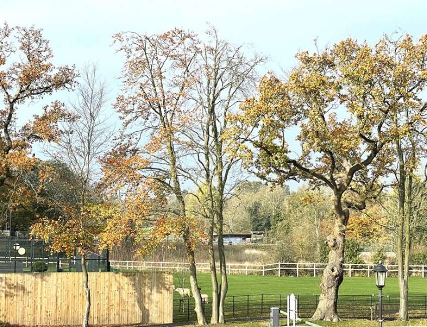 Images for The Cedars, Warford Park, Faulkners Lane